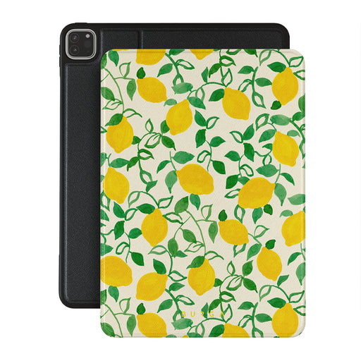 CM_15IP_iPAD_PRO_11_2022