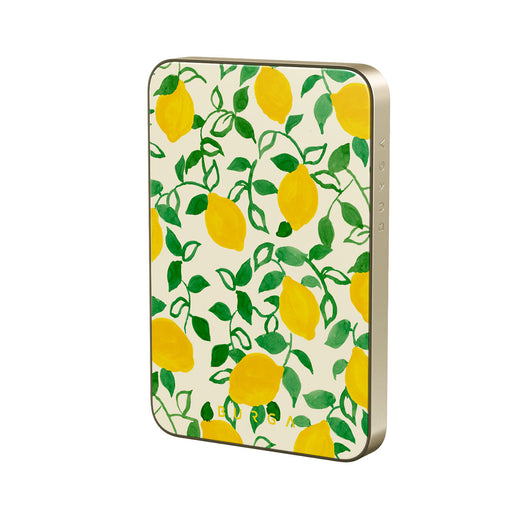 CM_15MS_MagPbank5K-GO