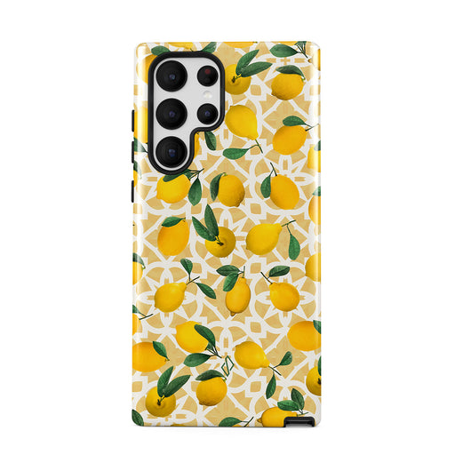 LL_01_S22ultra_TH-magnetic