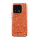 Vintage Edition - Xiaomi 13 Pro Funda 1